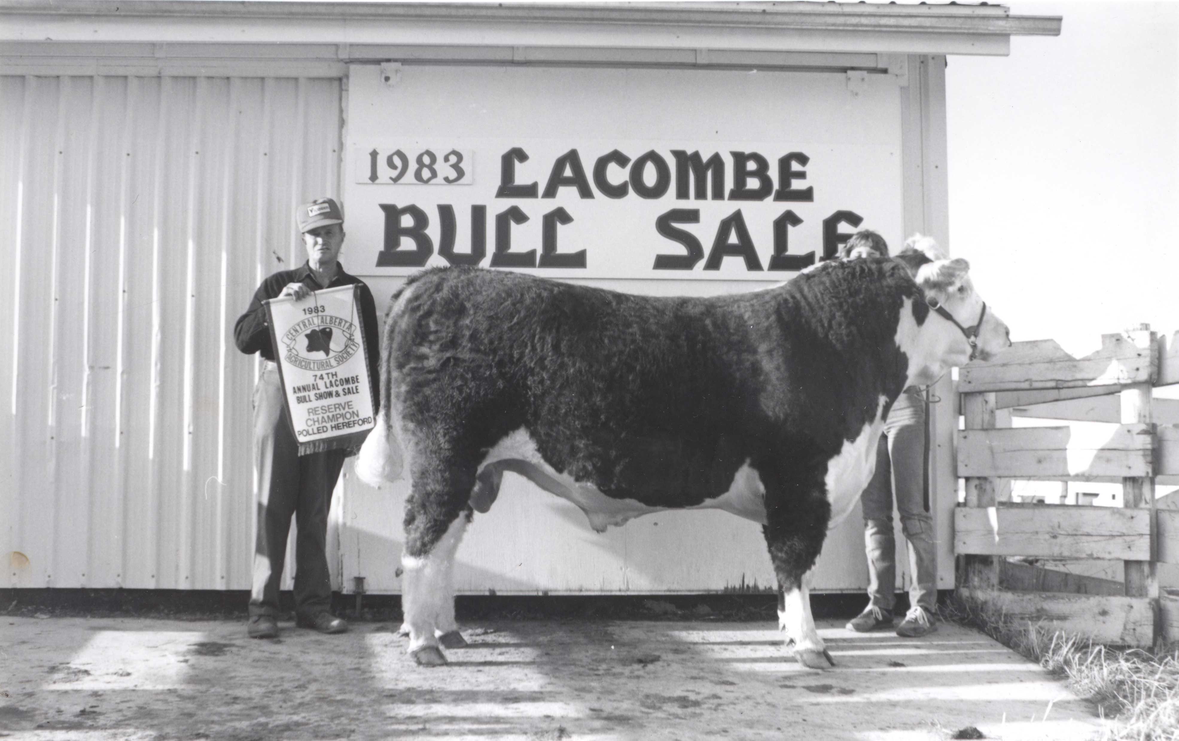 1983-Lacombe-Bull-Sale