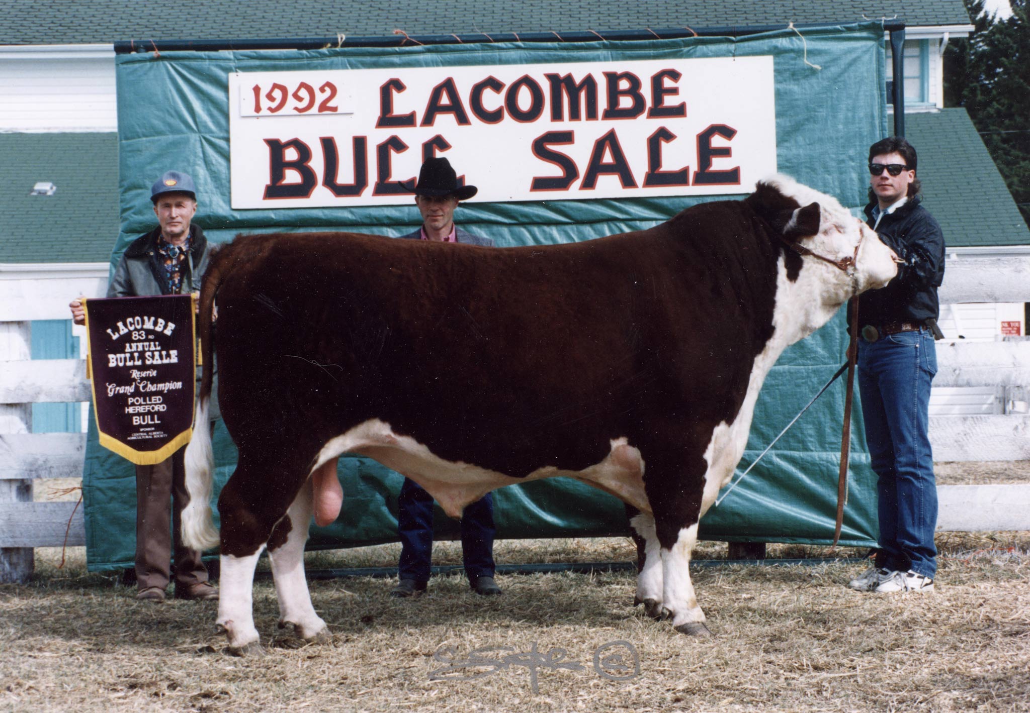 1992Lacombe-Bull-Sale