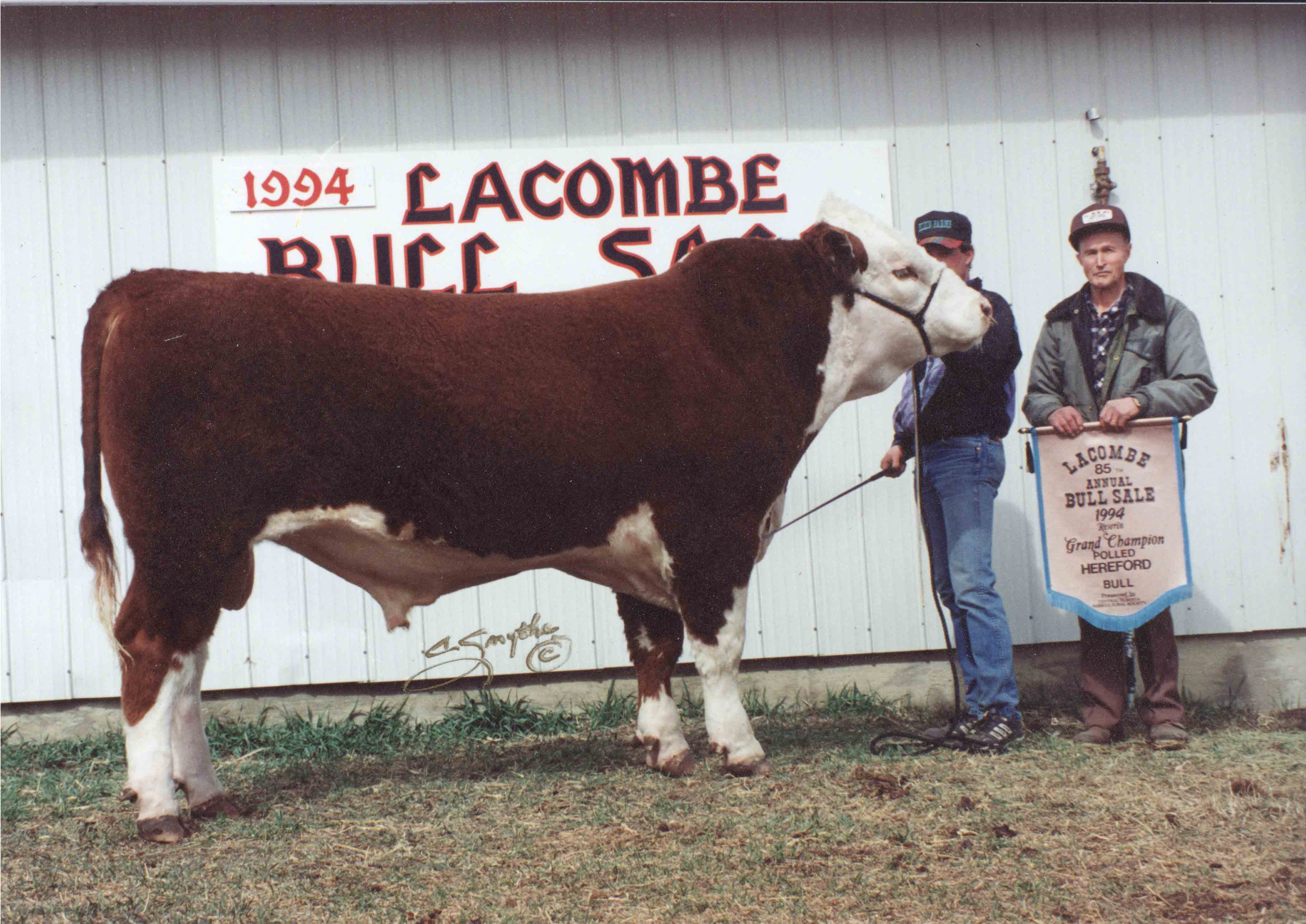 1994-Lacombe-Bull-Sale