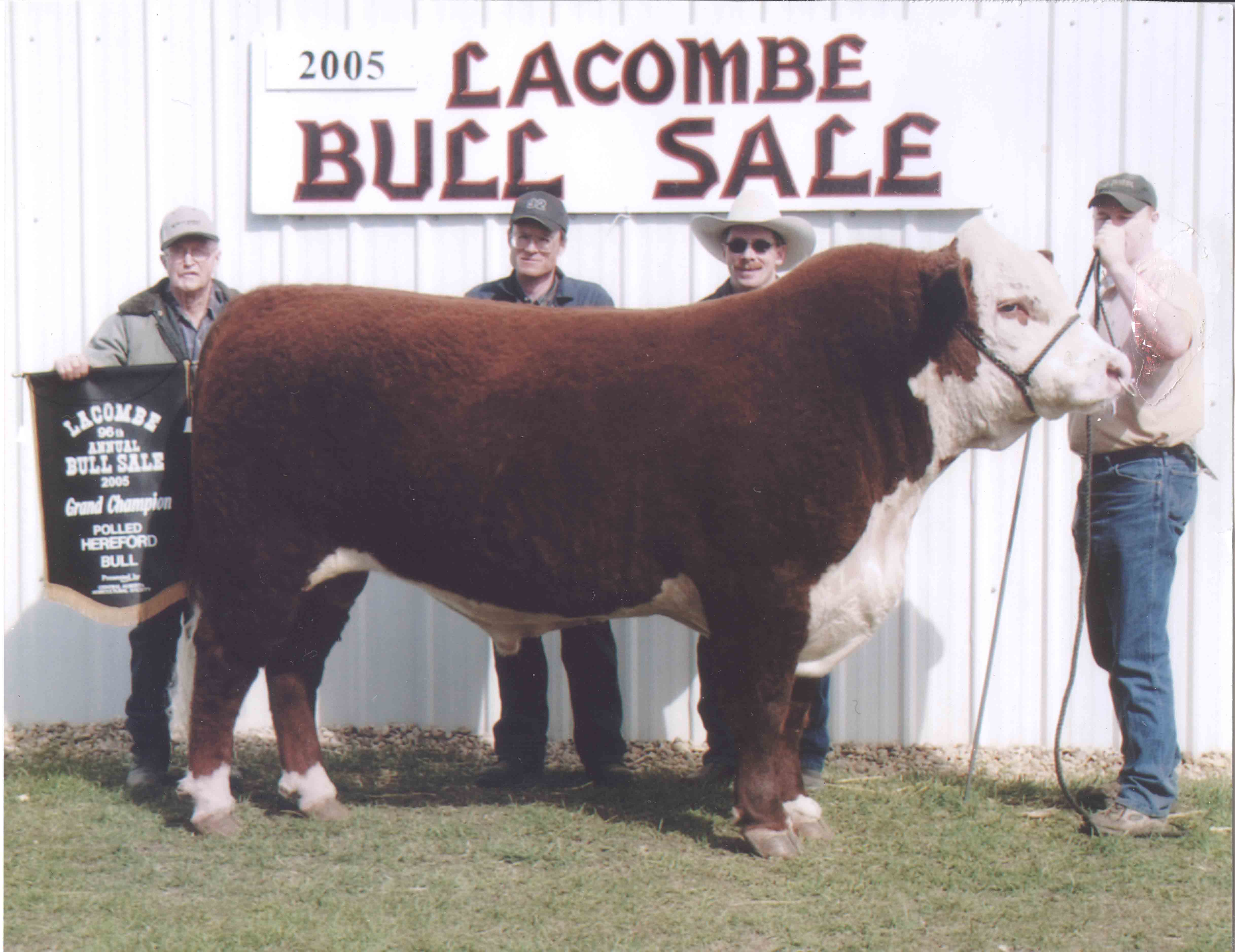 2005-Lacombe-Bull-Sale