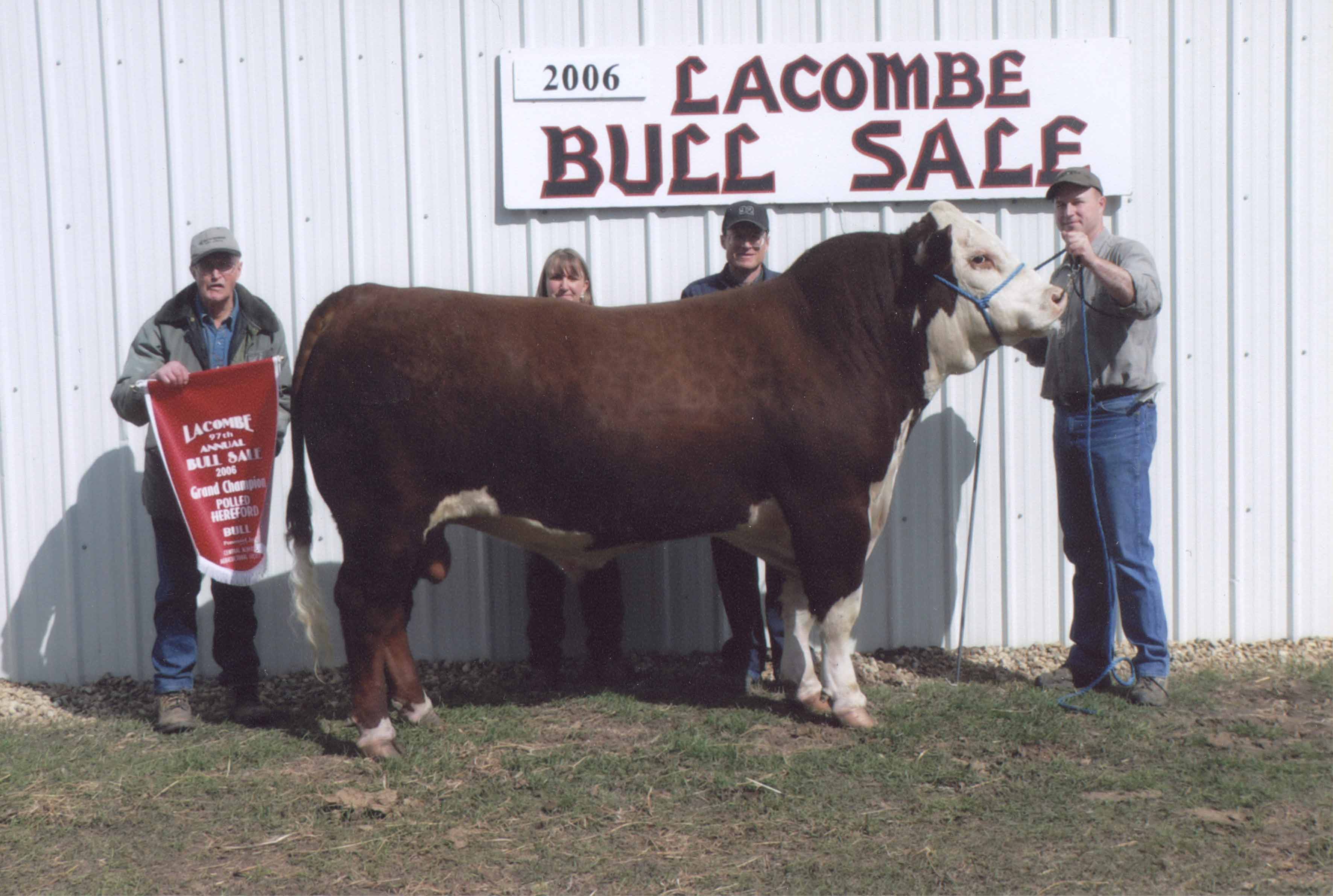 2006-Lacombe-Bull-Sale