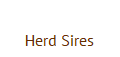 Herd Sires